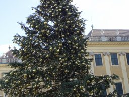 Weihnachtsmarkt Schönbrunn am 17.11.2024